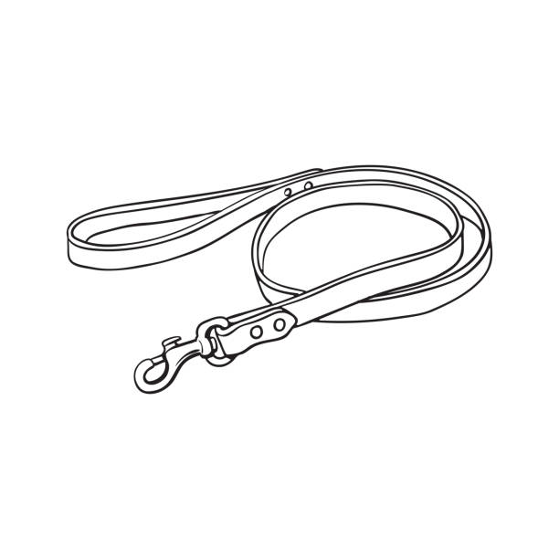 Simple Pet Cat Dog Brown Leather Leash With Metal Fastener Stock  Illustration - Download Image Now - iStock