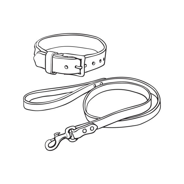 520+ Dog Leash Drawings Stock Photos, Pictures & RoyaltyFree Images