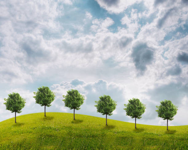 istock Panorama of green field with a trees 816305486
