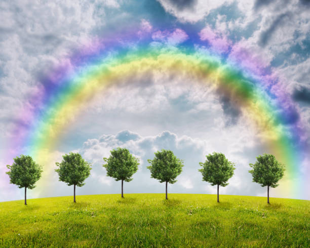 istock Panorama of green field with a trees 816305780