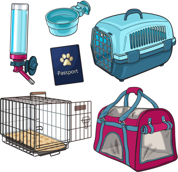 ilustrações, clipart, desenhos animados e ícones de sketch, mão desenhada transporte do animal de estimação, conjunto de viagem no fundo branco - hand tool box white background work tool