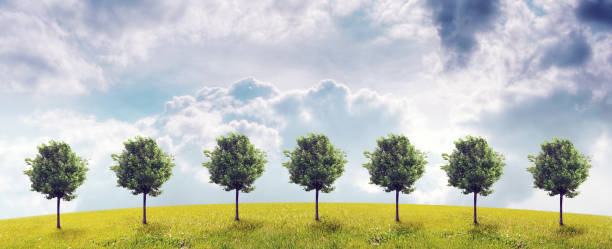 istock Panorama of green field with a trees 816305978