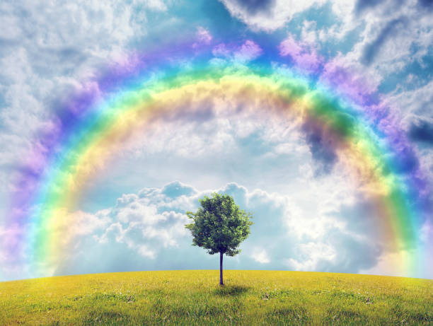 istock Panorama of green field with a tree 816306036