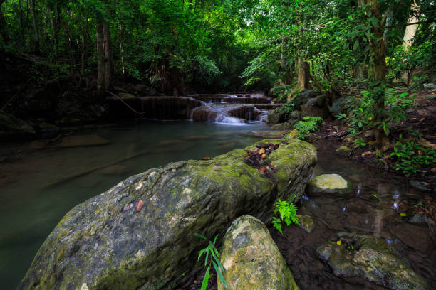 wodospad erawan w kanchanaburi, tajlandia - tropical rainforest thailand root waterfall zdjęcia i obrazy z banku zdjęć