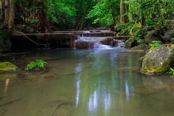 cascadas de erawan en kanchanaburi, tailandia - tropical rainforest thailand root waterfall fotografías e imágenes de stock