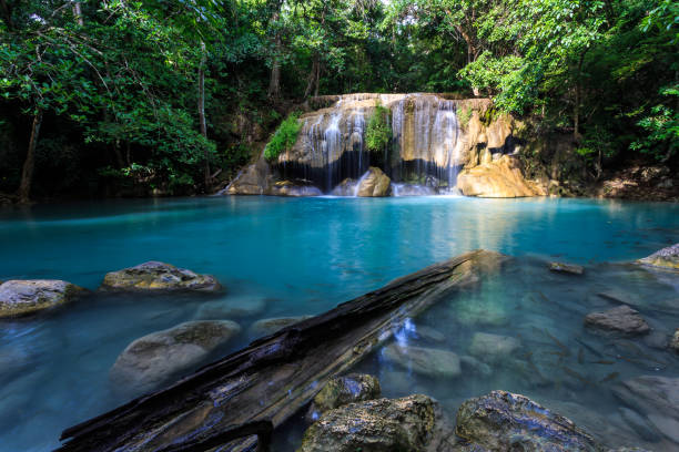 에라완폭포 in 깐짜나부리, 태국 - tropical rainforest thailand root waterfall 뉴스 사진 이미지