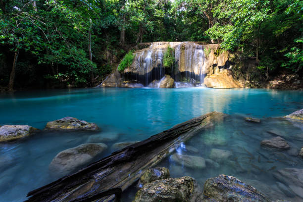 wodospad erawan w kanchanaburi, tajlandia - tropical rainforest thailand root waterfall zdjęcia i obrazy z banku zdjęć