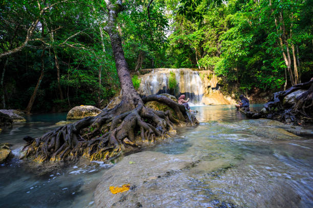 cascadas de erawan en kanchanaburi, tailandia - tropical rainforest thailand root waterfall fotografías e imágenes de stock