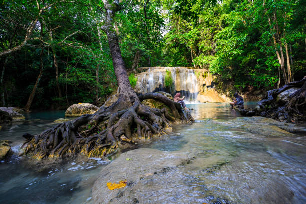 wodospad erawan w kanchanaburi, tajlandia - tropical rainforest thailand root waterfall zdjęcia i obrazy z banku zdjęć