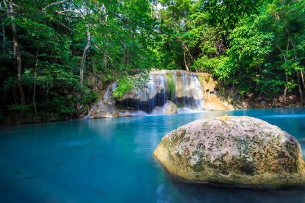 wodospad erawan w kanchanaburi, tajlandia - tropical rainforest thailand root waterfall zdjęcia i obrazy z banku zdjęć