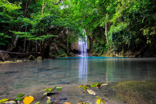 cascadas de erawan en kanchanaburi, tailandia - tropical rainforest thailand root waterfall fotografías e imágenes de stock