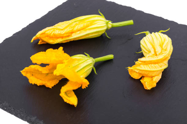 istock Yellow pumpkin flowers and zucchini on black 816311644