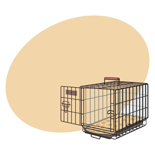 ilustrações de stock, clip art, desenhos animados e ícones de metal wire cage, crate for pet, cat, dog transportation - car transporter semi truck isolated on white truck