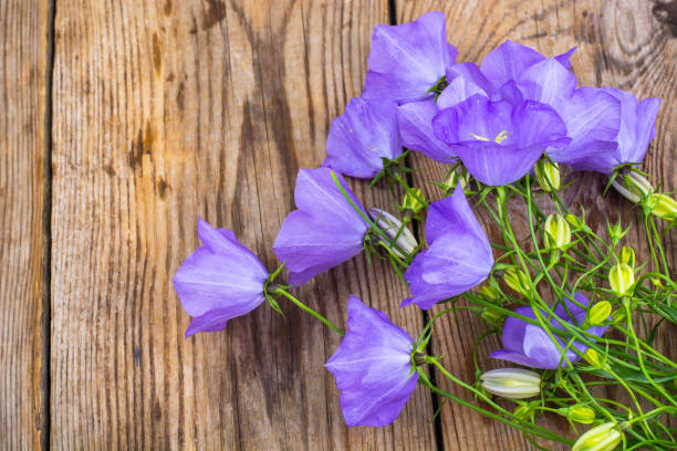 istock Bouquet with blue flowers on wooden table 816311822