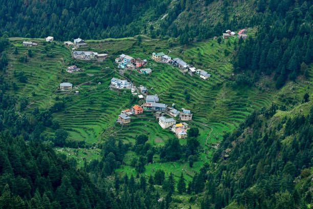 Small Residential Town midst Himalayan Hills High resolution image of residential village surrounded by hills cedars and pines cedrus deodara stock pictures, royalty-free photos & images