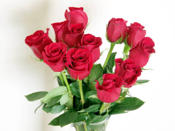 istock Thornhill bouquet of red roses 2016 816318184