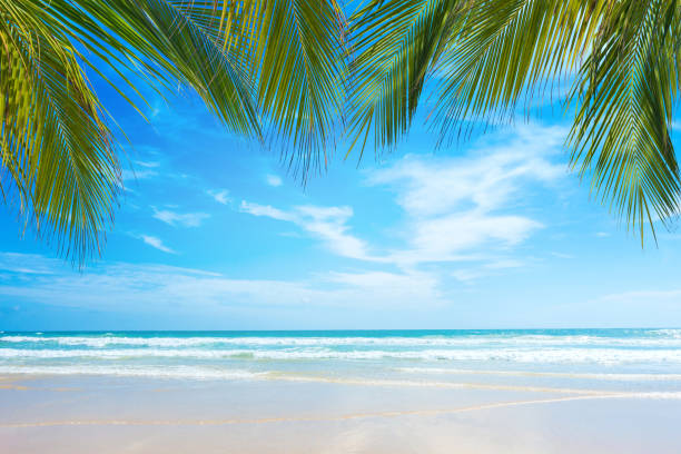 istock Beautiful sea and blue sky in phuket,Thailand. 816324176