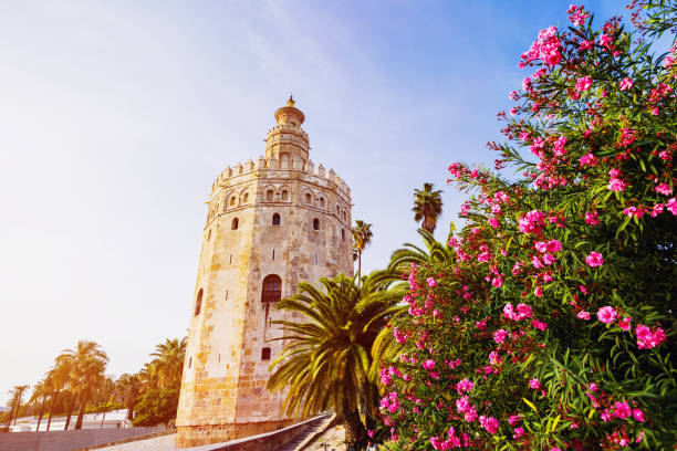 torre del oro (golden tower), sewilla, hiszpania - seville torre del oro sevilla spain zdjęcia i obrazy z banku zdjęć