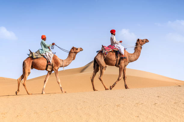 istock Indian men riding camels on sand dunes, Rajasthan, India 816338980