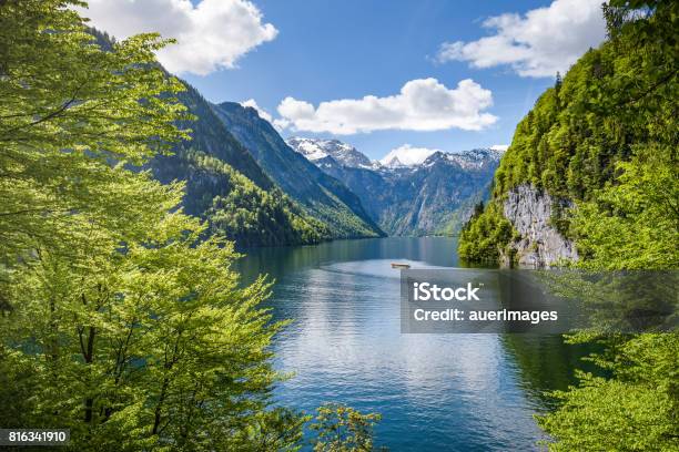 Königsee Berchtesgaden Bayern Deutschland Stockfoto und mehr Bilder von Alpen - Alpen, Anhöhe, Baum