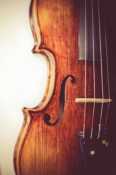 istock professional violin background close-up toned photo 816348988
