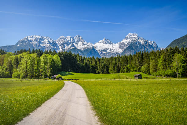 istock Hiking path, Lofer, Salzburger Land, Austria 816351848