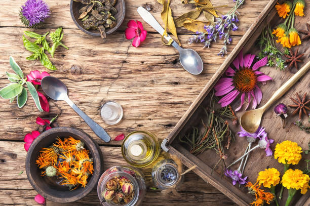 istock motley healthy herbs 816361190