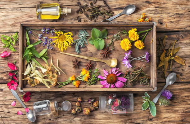 istock motley healthy herbs 816361466