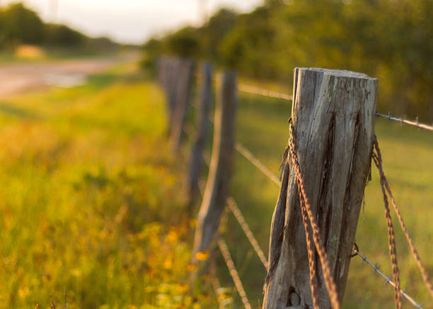 istock barbwire fence in the country 816366570