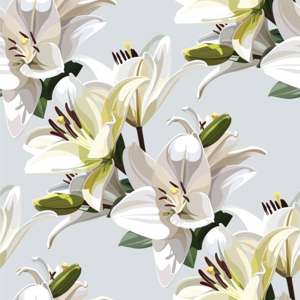 ilustrações de stock, clip art, desenhos animados e ícones de white flowers of lily (madonna lily). seamless floral pattern on light background. - madonna