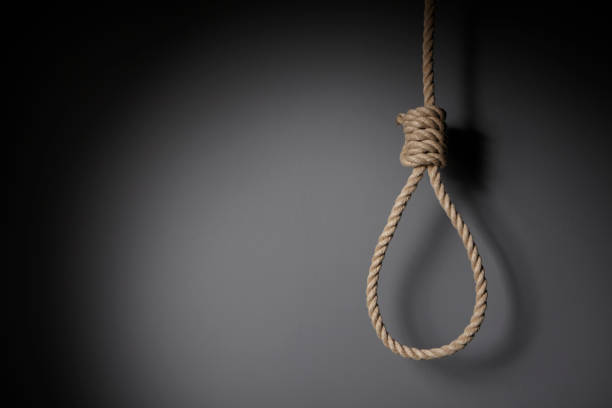 Hangman’s noose The hangman's noose is a well-known knot with its use in hanging a person. The rope is in front of a dark wall. hangmans noose stock pictures, royalty-free photos & images