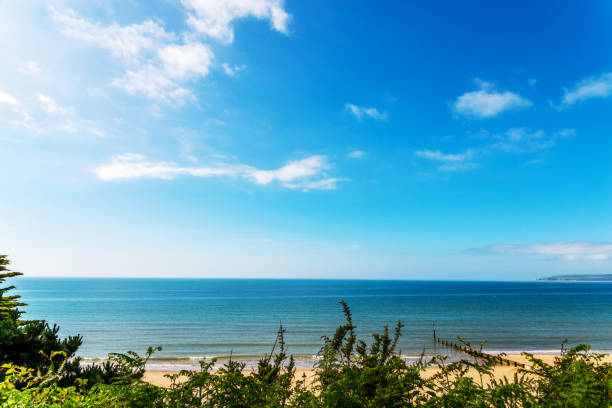 Ocean view with hills, green vegetation background and beautiful blue ocean tile, vacation