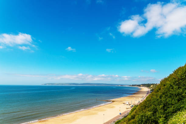 istock Ocean view with hills, green vegetation background and beautiful blue ocean tile, 816397794