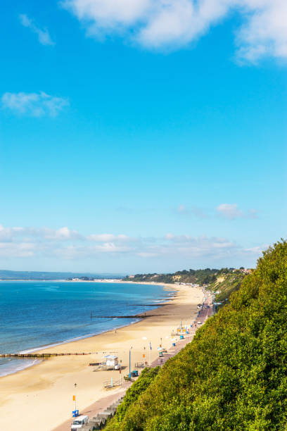 istock Ocean view with hills, green vegetation background and beautiful blue ocean tile, 816402482
