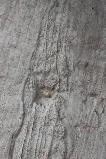 istock Gray texture of cement for designer 816402750