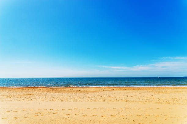 istock Sandy beach and blue ocean, beautiful sunny day 816405300