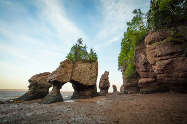 Download Gratuito de Fotos de Baía de Fundy, no Canadá