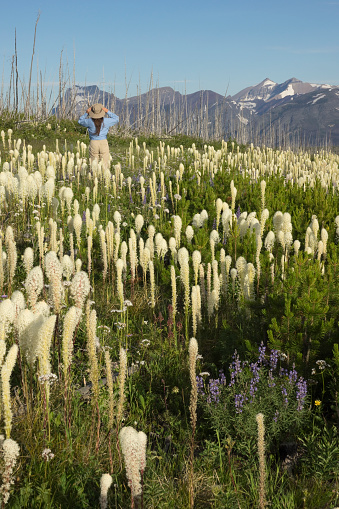 Mujer caminatas las montañas reserva Blackfeet beargrass campo parque nacional los glaciares Montana photo