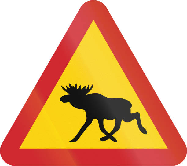 istock Road sign used in Sweden - Elk 816443458