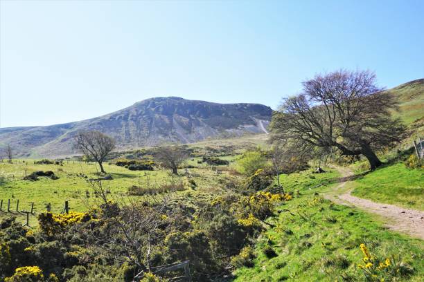 istock Pentland Hills, Skyline 816446646