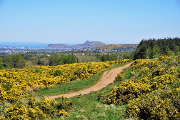 Pentland Hills, Edinburgh Skyline