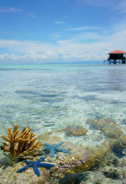 Semporna, Malaysia Sabah Landscape view