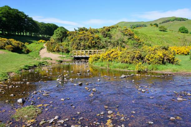 istock Pentland Hills, Bridge over stream 816461538