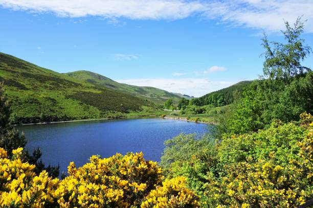 istock Pentland Hills, Glencorse 816464008