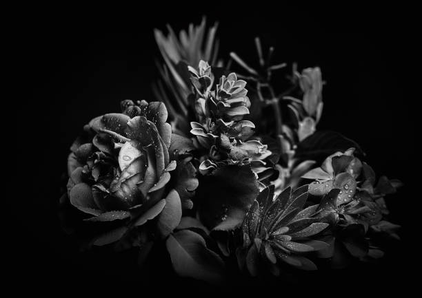 Black and white bouquet studio backdrop shot stock photo