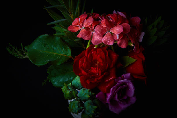 Bouquet - variety of flowers, studio shot with black backdrop stock photo