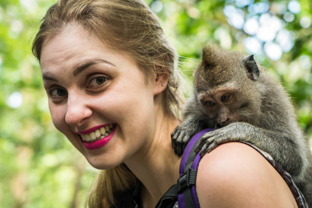 istock Woman interacting with a monkey in Bali, Indonesia 816511280