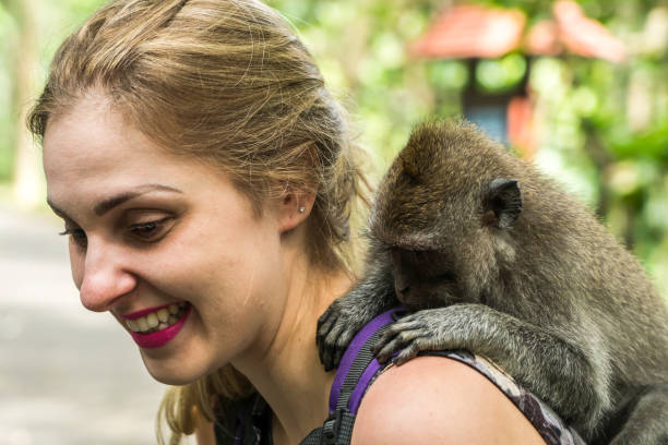 istock Woman interacting with a monkey in Bali, Indonesia 816511284