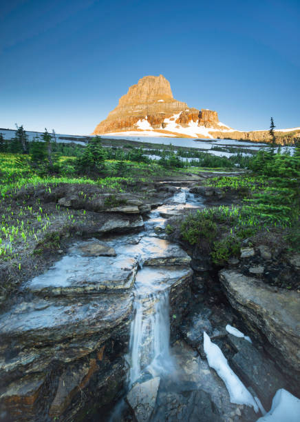 Montana - Western USA, Field, Meadow, River, Springtime