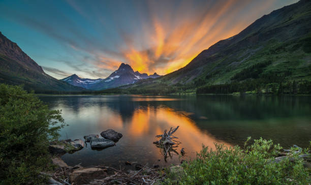 jezioro swiftcurrent o świcie - us glacier national park zdjęcia i obrazy z banku zdjęć